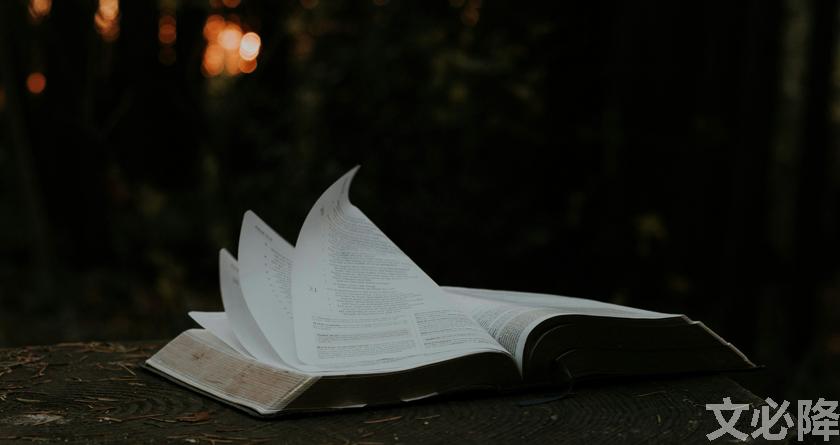 文必降AIGC,文必降论文降重, 文必降论文检测